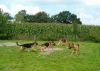 image004.jpg